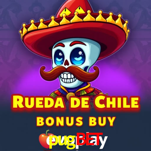 A Experiência Imersiva dos Cassinos Ao Vivo no pugbet