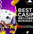 API Integration pugbet