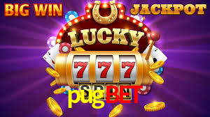 Premium Interface pugbet