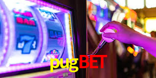 Programa VIP pugbet